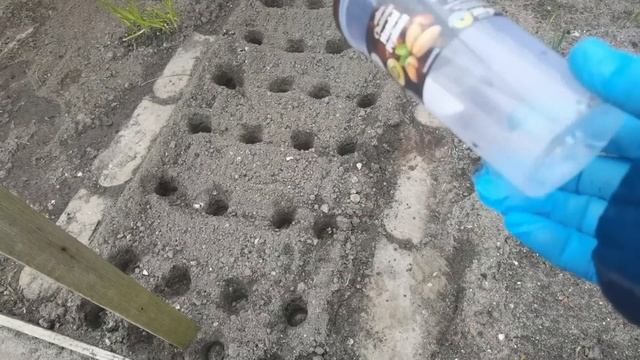 ПРОСЫПАЕТСЯ ОГОРОД И ОГОРОДНЫЕ РАБОТЫ!/ 864
