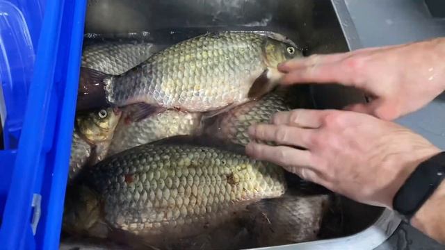 Праздника не будет! Кто КОРОЛЬ вечеринки! Первые покупки на РАСПРОДАЖЕ! ИСПАНИЯ ВЛОГ! смотреть онлайн