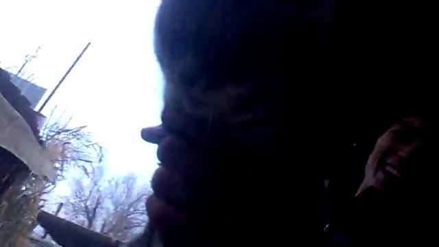 Калашников 47 кошка смотреть онлайн