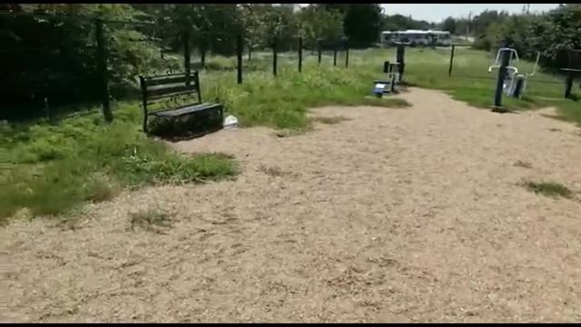 АДМИНИСТРАЦИЯ! АМБРОЗИЮ КОСИТЬ БУДЕМ?/КРАСНОДАР-ЗНАМЕНСКИЙ/АЛЛЕРГИЯ НА ДЕТСКОЙ И СПОРТ. ПЛОЩАДКЕ смотреть онлайн