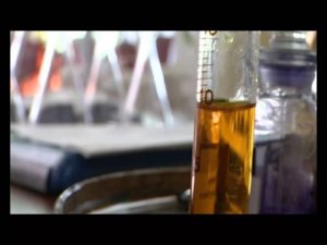 Чечня. Река - Терек