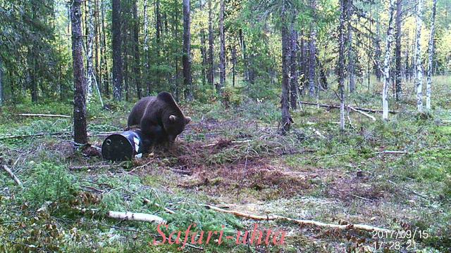Борьба за лидерство. Осень 2017..mp4 смотреть онлайн
