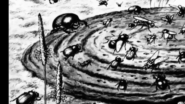 Ганс Христиан Андерсен "Навозный жук " смотреть онлайн