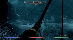 Pure & True Khajiit Outcast Build (50) The Thane of Hjaalmarch - Skyrim AE Legendary Survival