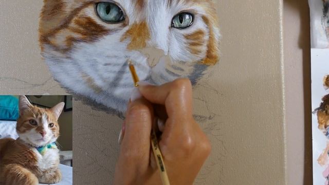 ПОРТРЕТ КОТА АКРИЛОМ смотреть онлайн