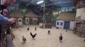 МОСКВА ДЛЯ ДЕТЕЙ! Мы едем  в ЭКЗоопарк ТЦ РИО! Контактный зоопарк!