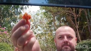 Хуахин ночной рынок, дорога в Паттайю