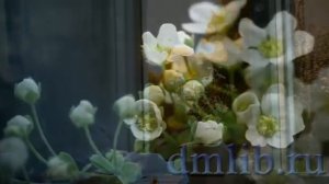 #ВИДЕОКНИГА «Утро» из цикла «Крохотки. Творчество Солженицына»