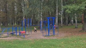 ПЕРЕЕХАЛИ В ГОРОД // Секции детям // Начало учебного года // Ярославль // Кружки для посещения