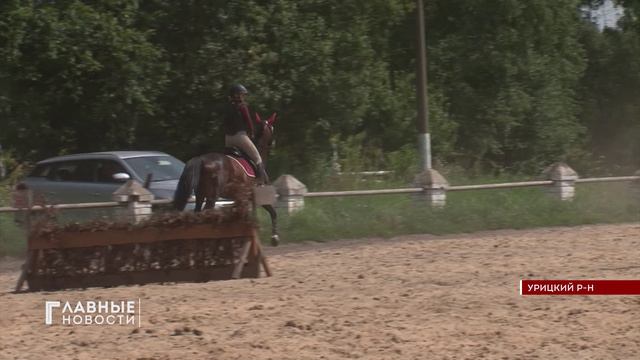 Под Орлом провели конные состязания по кросс-кантри.
