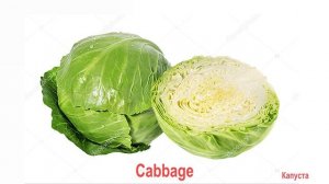 Английский Для Малышей | Карточки Домана в 4K