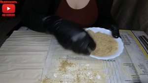 Турецкая Пахлава Баклава из ФИЛО теста - очень быстрый рецепт!