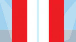 Молодежные проекты ЦИК России