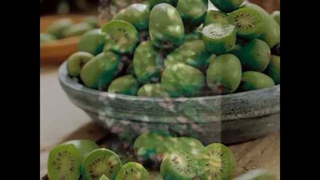 Актинидия – посадка и уход, выращивание смотреть онлайн