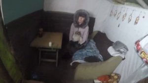 Козы в морозы  -22 градуса//Как содержать коз зимой?//Адаптация коз к морозам