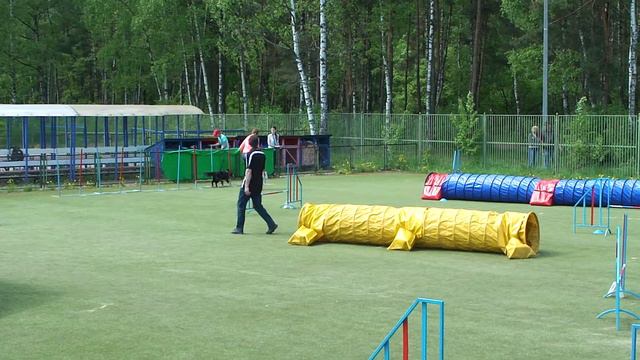 ЧЗФО, г. Санкт-Петербург, 20.05.2018 г., командная эстафета смотреть онлайн