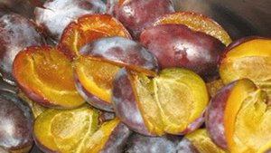 Варенье из слив быстро