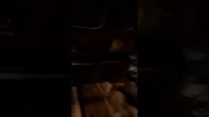 Запуск двигателя Howo в минус -30°