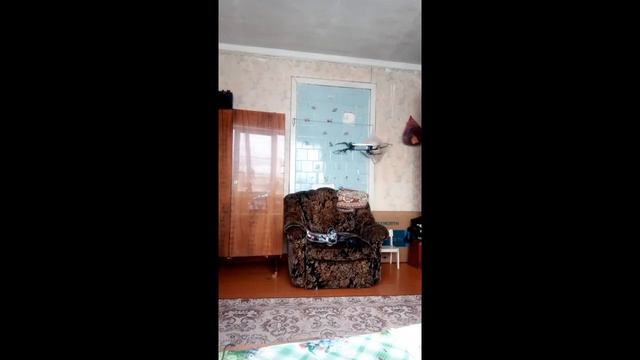 обзор на квадрокоптер phantom 2 fpv смотреть онлайн