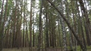 Вспоминаю старые песни. Песня КУПОЛА.