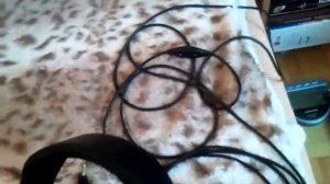 Обзор наушников Philips SHP6000