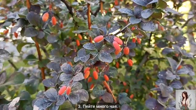 15 идей для уютной осени смотреть онлайн