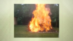 Удобрение клубники золой