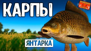 РР4/ рыбалка для души, ловим как универсал, общаемся 27.01.24