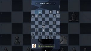 41. Chess quests #shorts