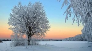 Т.Снежина "Последний день осени.."