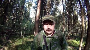 Черничник, неприятная "находка" (выход в лес и мысли)