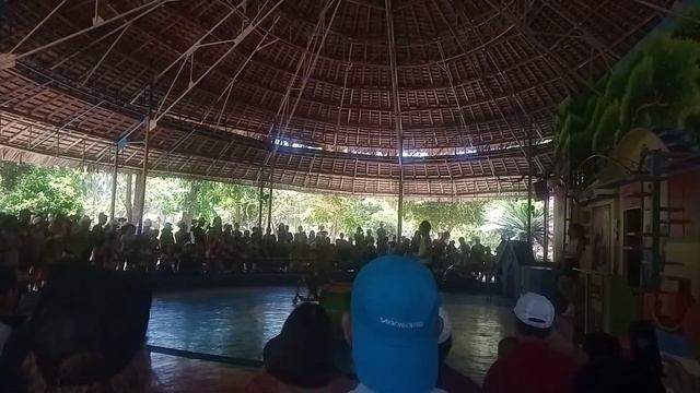 Цирк с животными вьетнаме смотреть онлайн