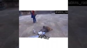 ? у вас такая вкусная.. Махач