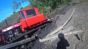 Как вытащить гусеничный ДТ 75 из болота, при помощи Петушка?