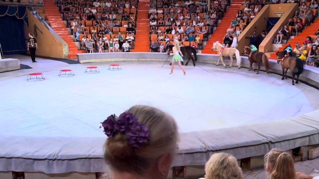 Варя идет в цирк. Империя львиц / Varya in the circus смотреть онлайн