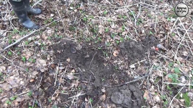 Там, где летом трава по пояс!