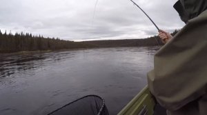 Ponoi river 2018 ЛОВЛЯ СЕМГИ НАХЛЫСТОМ