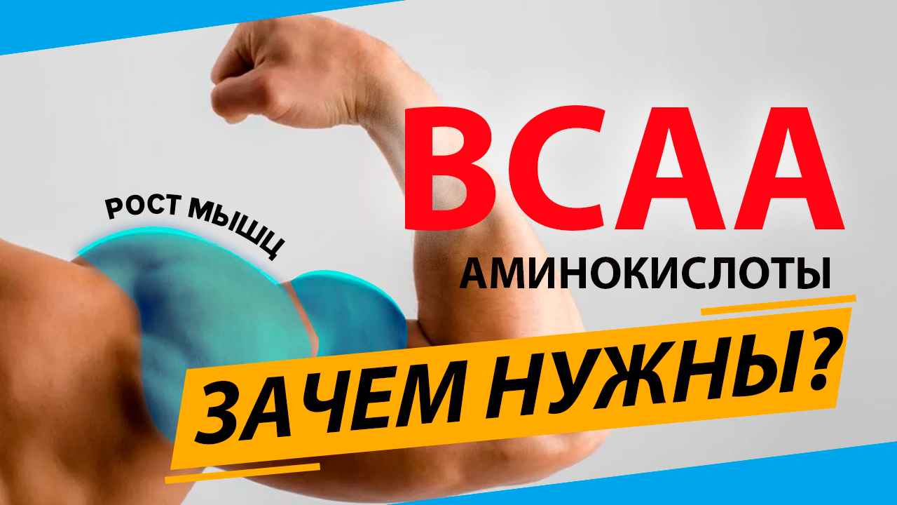 Всё о БЦАА. Как принимать BCAA, польза и свойства
