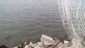 Труп в воде (Слабонервным не смотреть)