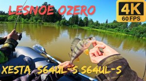 Лесное озеро. Микроджиг на XESTA Black Star Extra Tuned S64UL-S Semi Automatic
