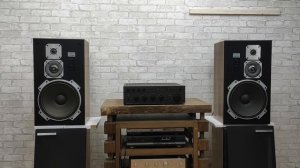 Pioneer CS-755.Звук очень напоминает Coral X-VII