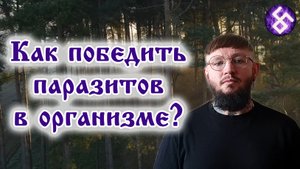 Как победить паразитов в организме?