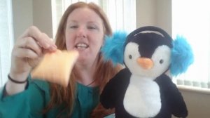 Review of Percy Penguin Scentsy Buddy - Christmas Gift Ideas