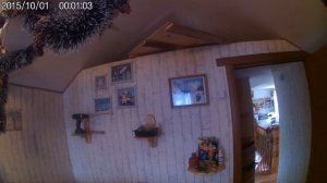 МЫШИ В ДОМЕ,ЧТО ДЕЛАТЬ СРОЧНО