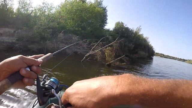 РЫБАЛКА НА ХИЩНИКА. ЩУКА В ПРИОРИТЕТЕ. ЩУЧЬЕ ЭЛЬДОРАДО или Как Кислотный Ito Shiner Сделал Рыбалку. смотреть онлайн