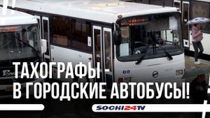 Проезд в автобусах Сочи не подорожает