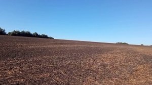 #36 Поиск монет в полях