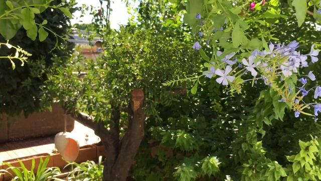 Турция, Бодрум, 2020. Сразу после карантина. смотреть онлайн