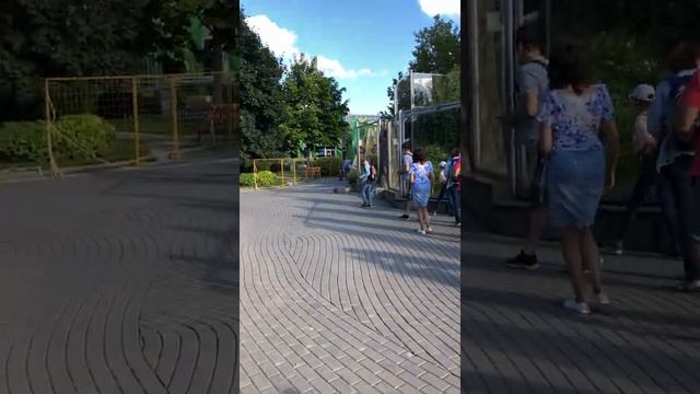 В мире животных смотреть онлайн