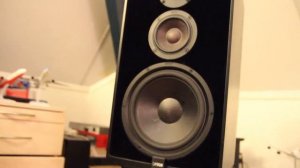 Canton Karat 40 Speaker test